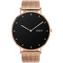 Smartwatch Verona gold steel GARETT