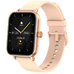Versa HR+rosegold smart watch CARNEO