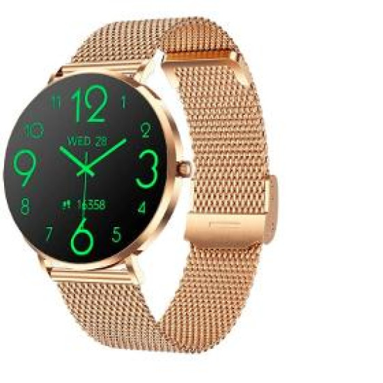 Phoenix HR+ 2nd gold smart watch CARNEO