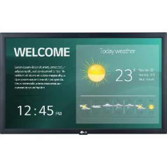 22SM3G monitor LG