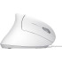 Verto vertic ergonom mouse USB wh TRUST