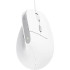 Bayo II Ergo vertical USB white TRUST