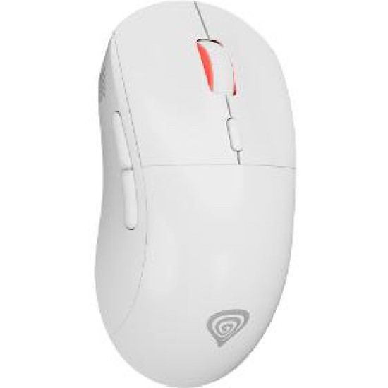 ZIRCON XIII bílá GENESIS